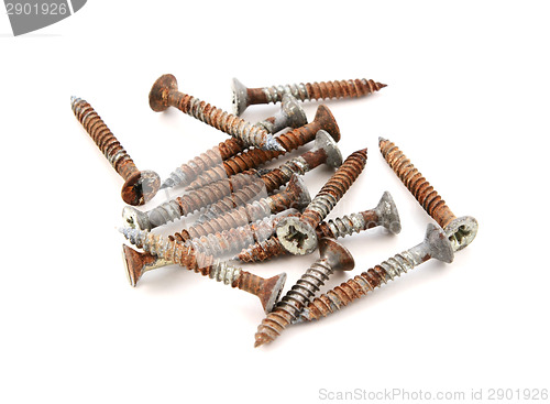 Image of Rusty wood screws