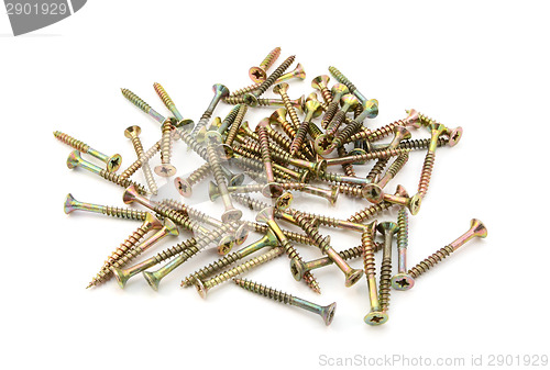 Image of Brass self-tapping screws