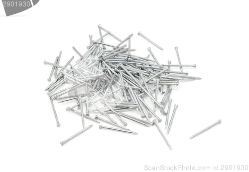 Image of Panel pins