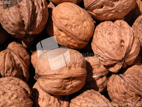 Image of walnuts