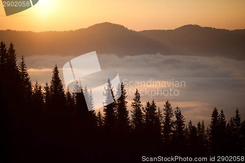 Image of Summer sunrise