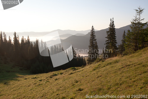 Image of Summer sunrise