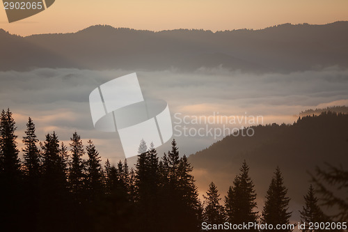 Image of Summer sunrise