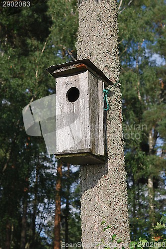 Image of Big Bird Box
