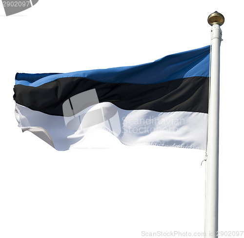 Image of Estonia flag cutout on white