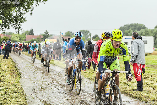 Image of The Peloton on a Cobbled Road- Tour de France 2014