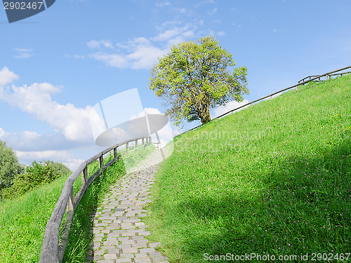 Image of Difficult cobble stones upward path