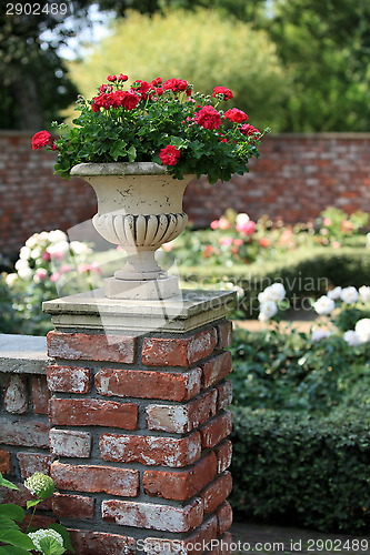 Image of Vase with red roses