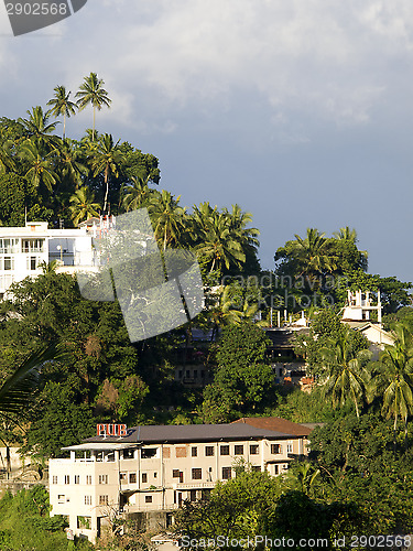 Image of Beautiful palm landscape in the mountains