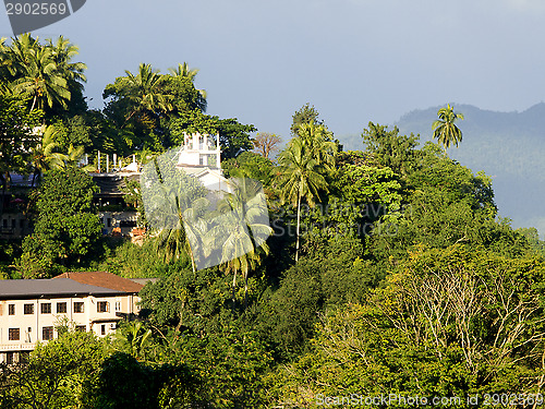 Image of Beautiful palm landscape in the mountains