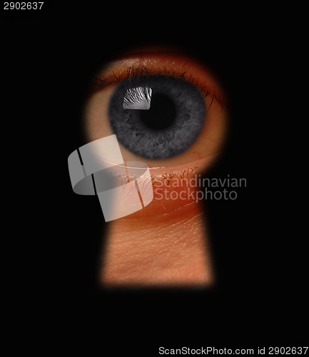 Image of Keyhole surveillance