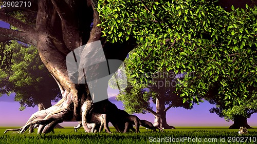 Image of Sacred Temple in Forest