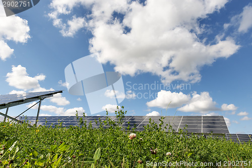 Image of Solar Panel Field