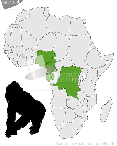 Image of Africa Gorilla range