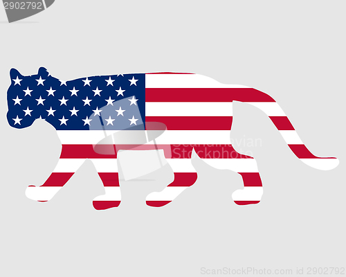 Image of Cougar USA
