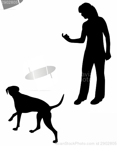 Image of Dog Training (Obedience): Command: Come!