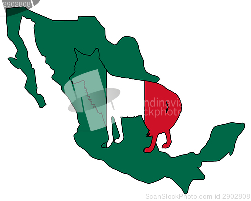 Image of Coyote Mexico