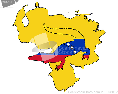 Image of Crocodile Venezuela