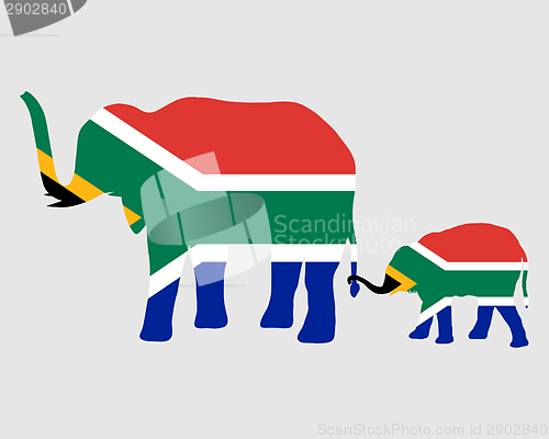 Image of Elephant and baby with flag of south Africa