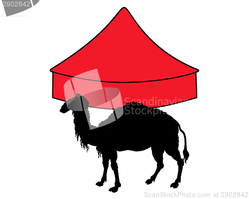 Image of Camel in circus 