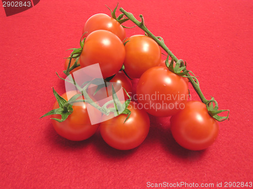 Image of Little tomatoes on twig and red placemat