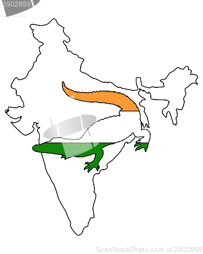 Image of Crocodile India