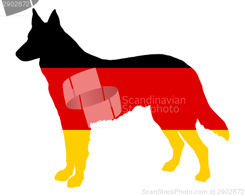 Image of German shepherd 