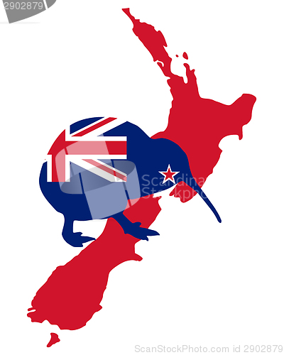 Image of Kiwi of New Zealand