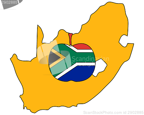 Image of South African apple