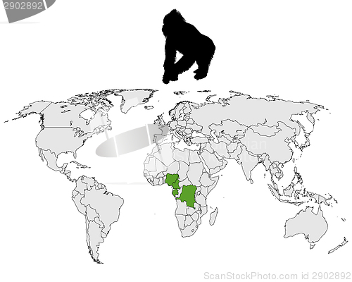 Image of World Gorilla range