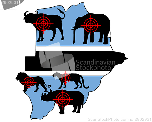 Image of Big Five cross hairs Botswana