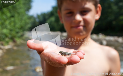 Image of Baby frog in child's hand