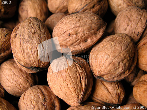 Image of walnuts