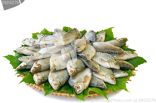 Image of River fish (carp) and the greens on a round dish.