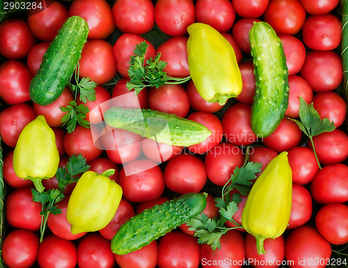 Image of Mature tomatoes of bright red color of the small size, pepper an