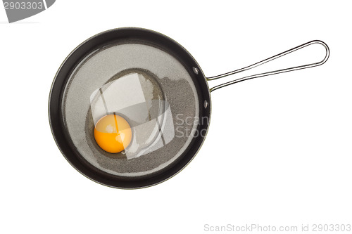 Image of Raw chicken egg