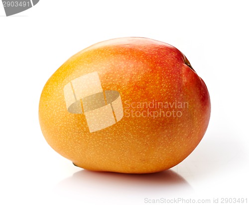 Image of Mango fruit
