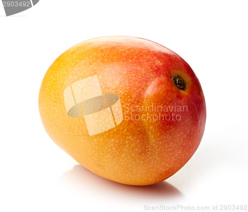 Image of Mango fruit