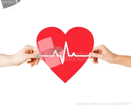 Image of hands holding heart with ecg line