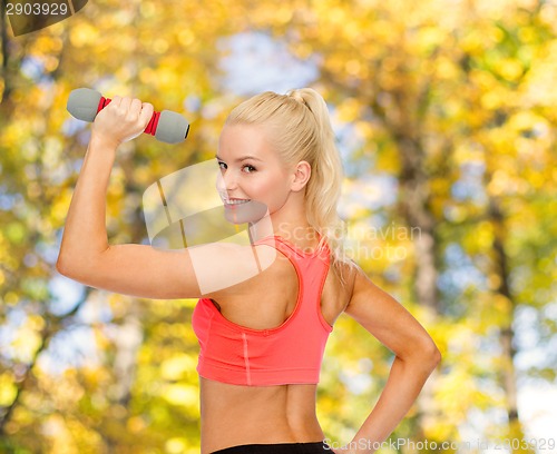 Image of young sporty woman with light dumbbell