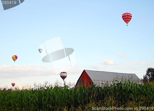 Image of Hot Air Balloons