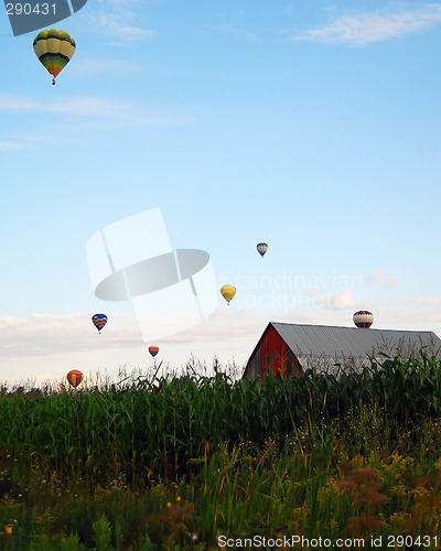 Image of Hot Air Balloons