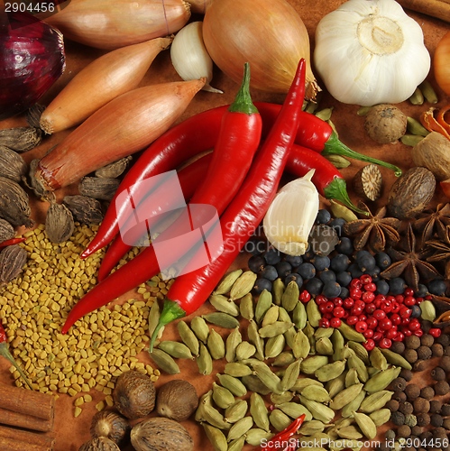 Image of Spices and herbs