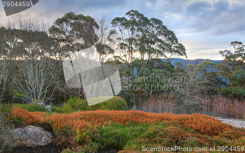 Image of Blue Mountains Australia