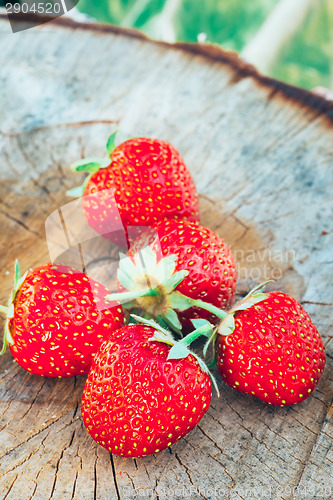 Image of Strawberry. Strawberries. Organic Berries