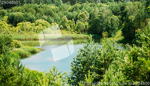 Image of Summer Forest River Lake Pond Bog Landscape