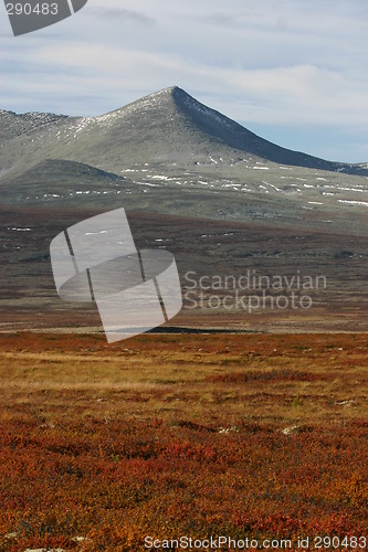 Image of Rondane