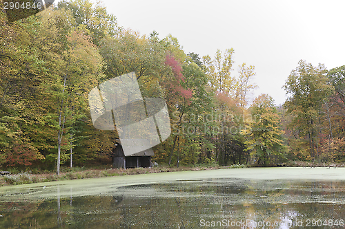 Image of Autumn Colors