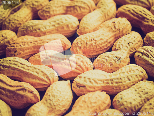 Image of Retro look Peanut