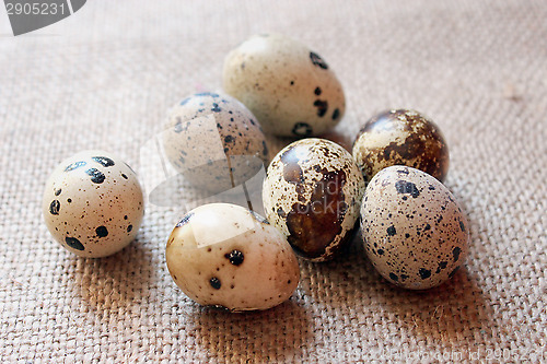 Image of some eggs of the quail on the sacking